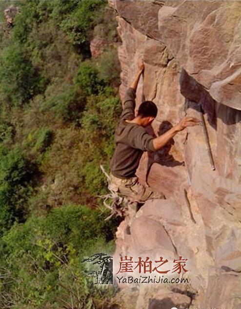 发财的路危险刺激 看太行山民如何采集崖柏-7
