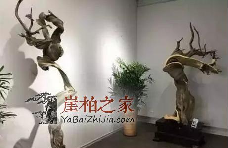 崖柏如何在木质品文玩市场中确立其霸主地位的？-2