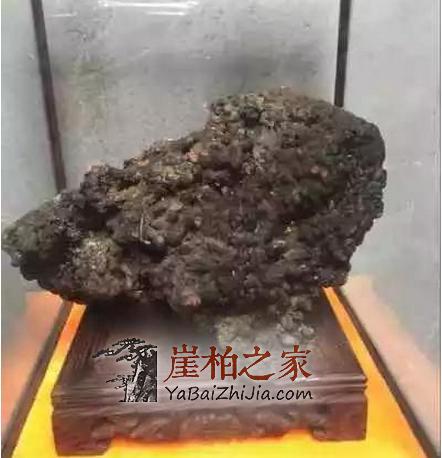 何谓崖柏老茬头？崖柏老茬头 的“终结者”解释-2