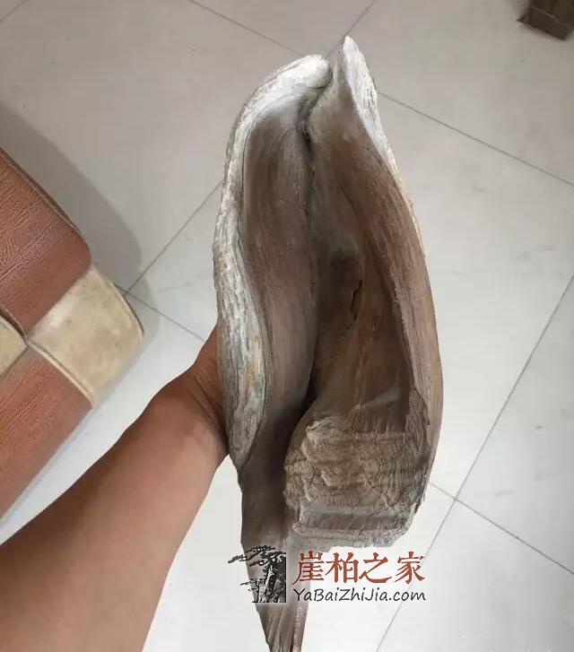 如何从崖柏毛料上辨别料质好坏？-14