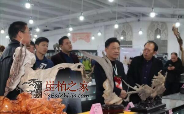 河南省郑州市将于5月举办“第三届崖柏文化展”-2